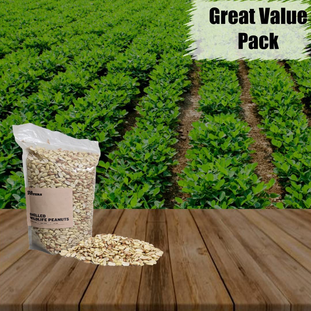Old Potters Wildlife Shelled Peanuts, 5 lbs for Birds, Squirrels and Wildlife. USA Grown Non-GMO Raw Shelled Peanuts. Wildlife Grade, Not for Human Consumption.