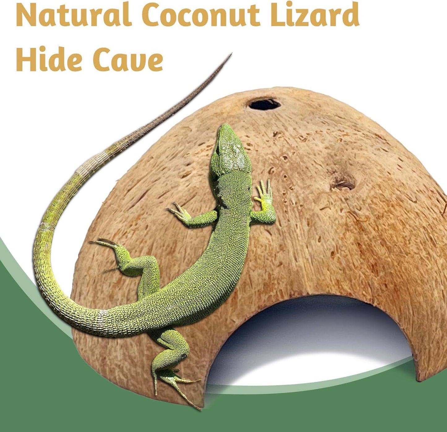 PINVNBY 6 PCS Natural Coconut Reptile Hideouts Lizard, Coco Hut Hermit Crab Hut Aquarium Fish Hide Cave for Small Reptile Crested Gecko Leopard Gecko Spider Snail Climber Toys