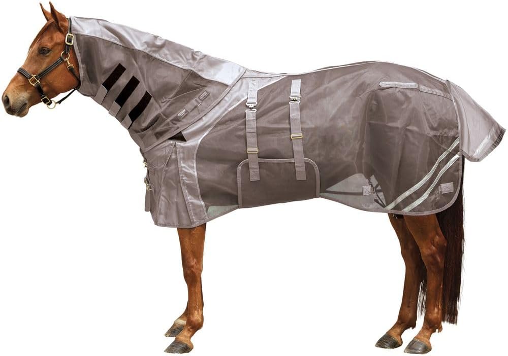 Horse Blankets & Sheets