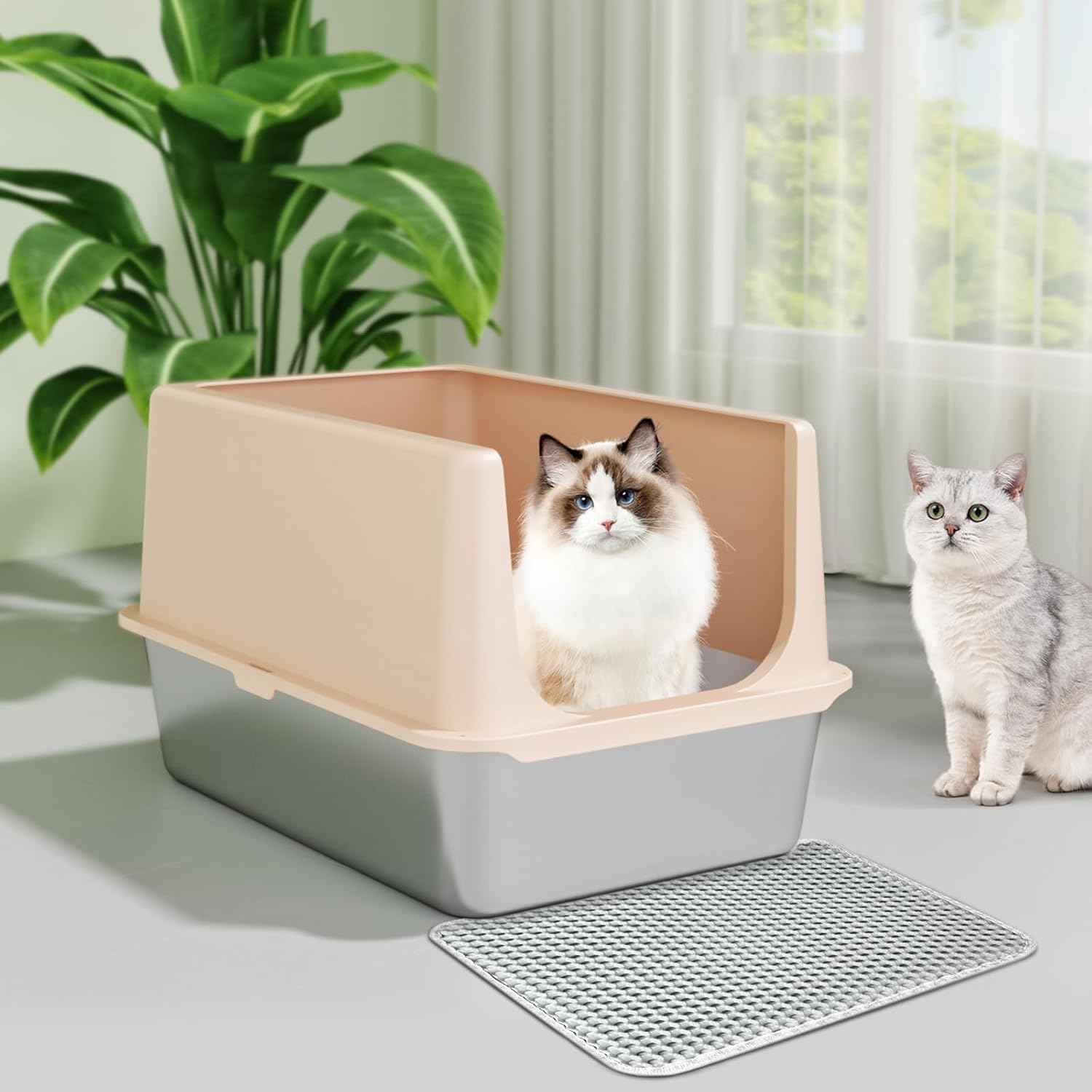 Litter & Housebreaking