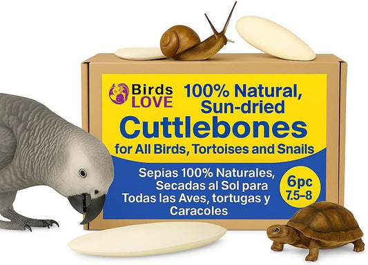 Birds LOVE Natural Cuttlebone – Premium Calcium & Trace Mineral Supplement for Tortoises, Snails, Parakeets, Cockatiels, and All Birds - 6 Pack of 7.5 to 8"