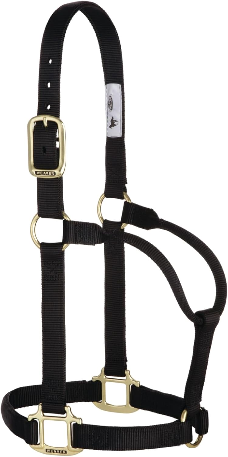 Weaver Equine Nylon Horse Halter, Triple-Ply Cheek Design, Original Non Adjustable Halters for Horses, Equine Tack,Average Size, Black