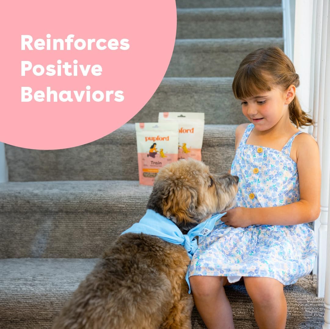 Pupford Soft & Chewy Training Treats for Dogs & Puppies (Chicken, 10 oz)