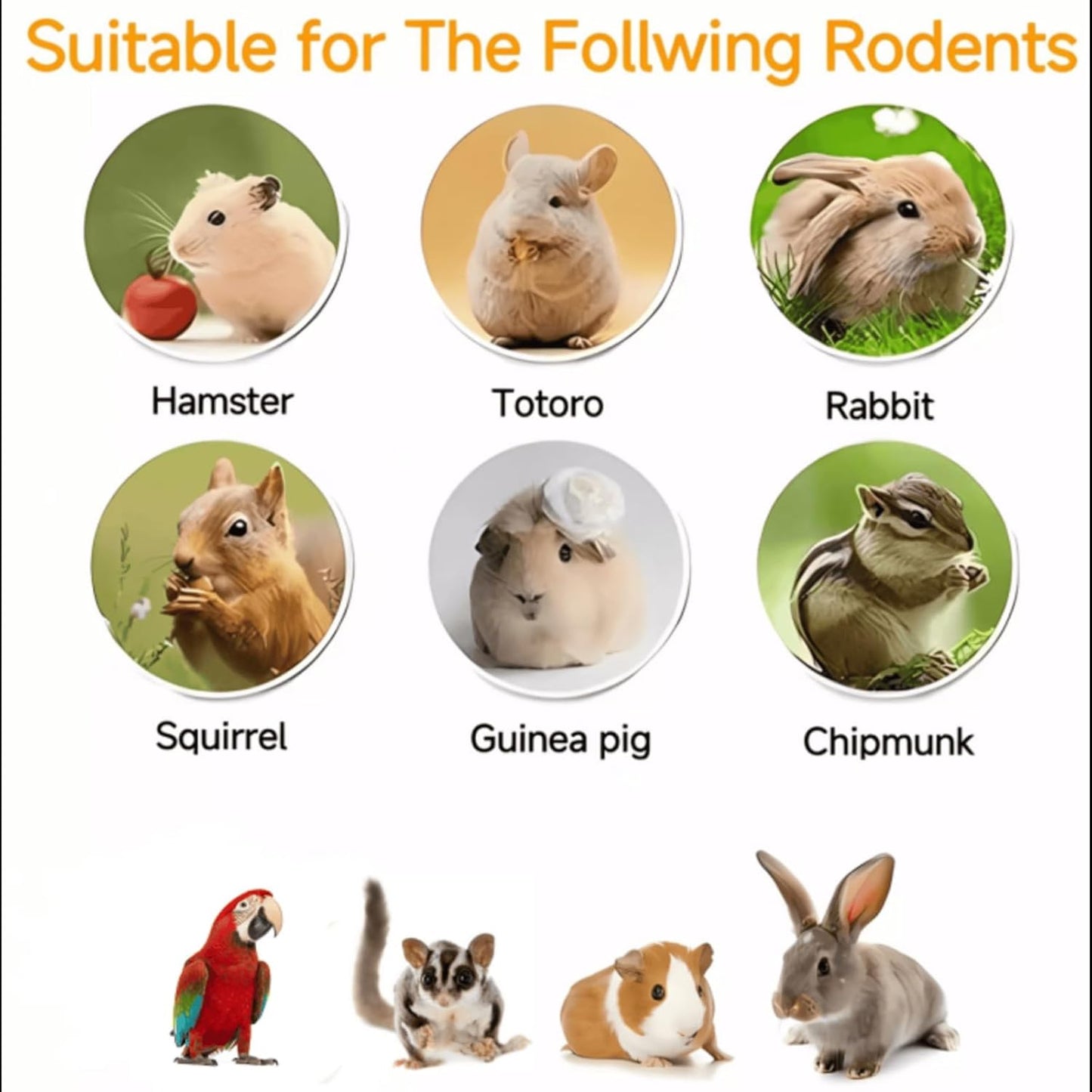 Chinchilla Food, Papaya Grains Small Animal Treats - 10 oz, Suitable for Rabbit Treats, Sugar Glider Food, Herbivores