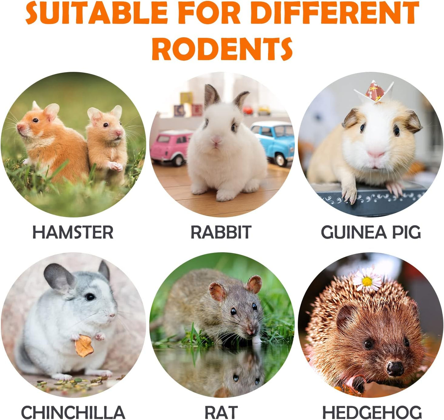 Sofier 28Pcs Timothy Hay Treats Rabbit Toys Bunny Toys Guinea Pig Natural Handmade Treats and Chews for Small Animals Hamster Chinchilla Rat Gerbil