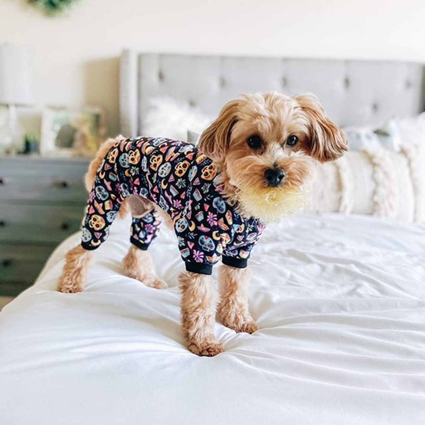 CuteBone Small Dogs Outfit Soft Puppy Onesies Pjs Halloween Dog Pajamas Pet Coat Cat Apparel Comfy Doggie Jumpsuit Bodysuit for All Seasons P73M