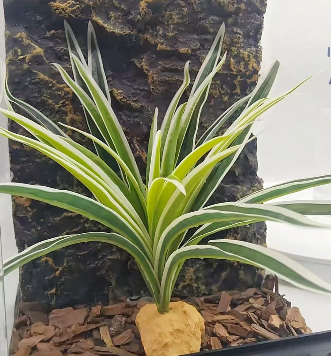 Reptile Terrarium Decor, Bearded Dragon Tank Accessories，Spider Plants for Crested Gecko Leopard Lizard Chameleon Ball Python Snake Frog