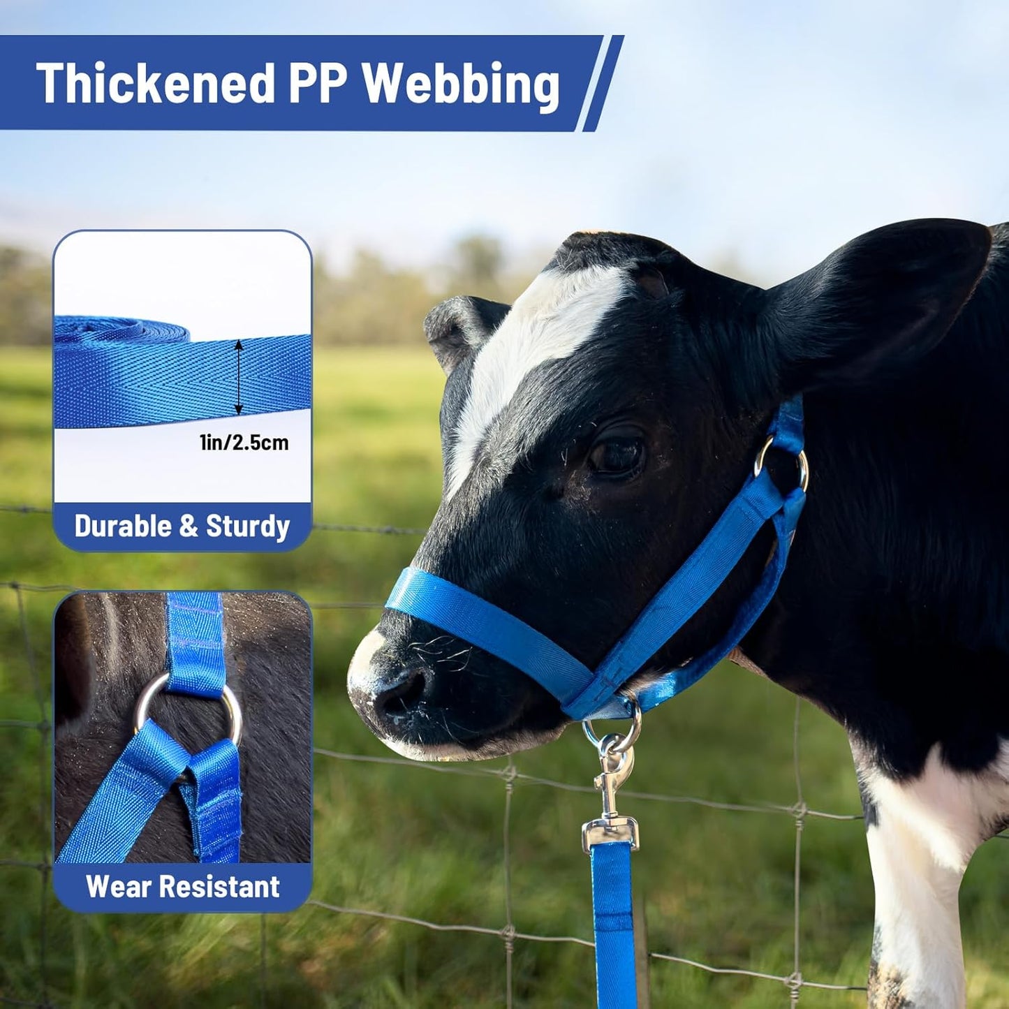 XUANNIAO Easily Adjustable Figure 8 Cow Halter, Double-Ply Premium Livestock Cattle Halters, Colorful Cow Utility Calf Halter with Leading Rope for Miniature Horse Donkey Goat Foal (Medium, Blue)