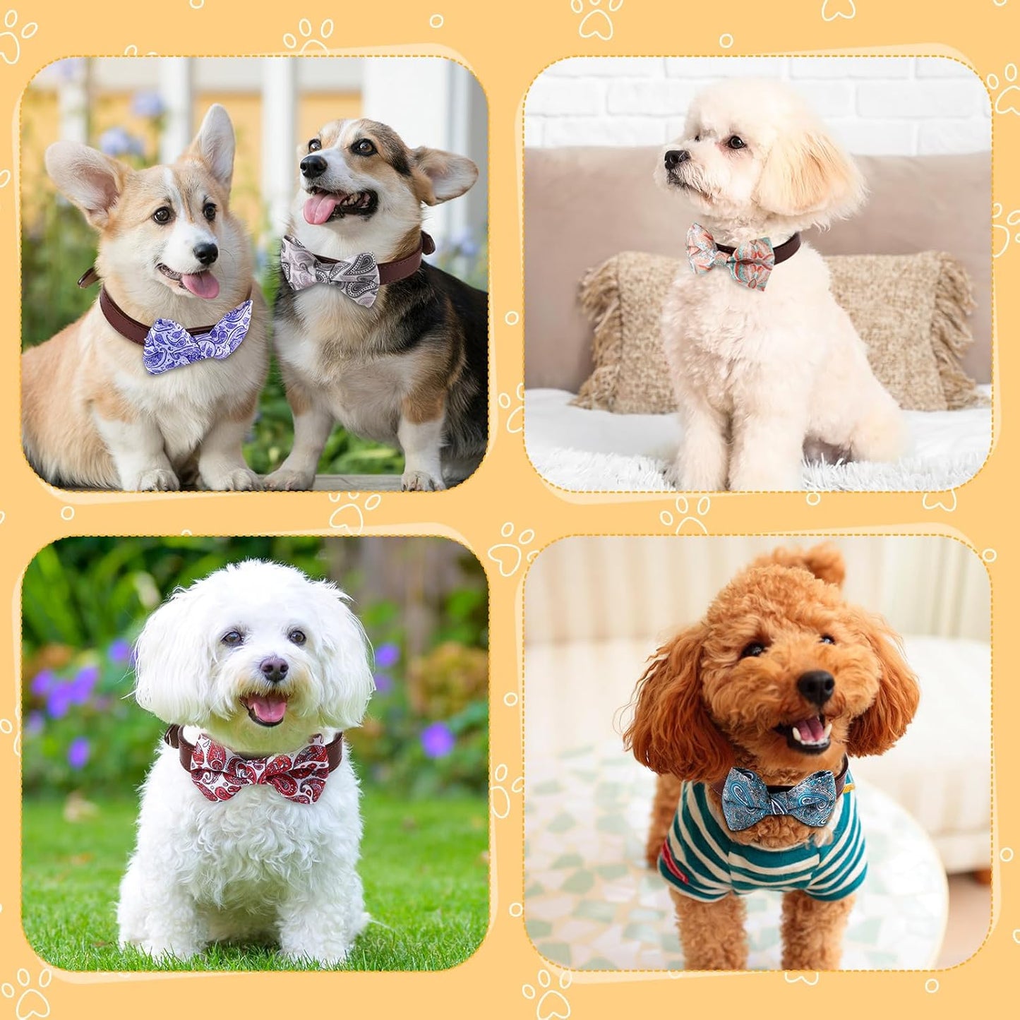 Reginary 50 Pieces Dog Bow Ties Pet Collar Bow Puppy Collar Attachment with Rubber Bands for Small Medium Cat Pet Grooming Charms Accessories Wedding Birthday Occasion (Paisley Style)