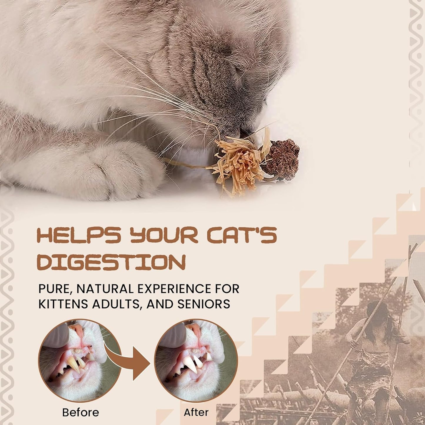 HUPA Catnip Silvervine Sticks | Anxiety Relief & Kitten Teeth Cleaning, Natural Silvervine with Raffia Grass for Healthy Teeth & Digestion | for Indoor Cats, All Ages & Breeds | 2 Sticks