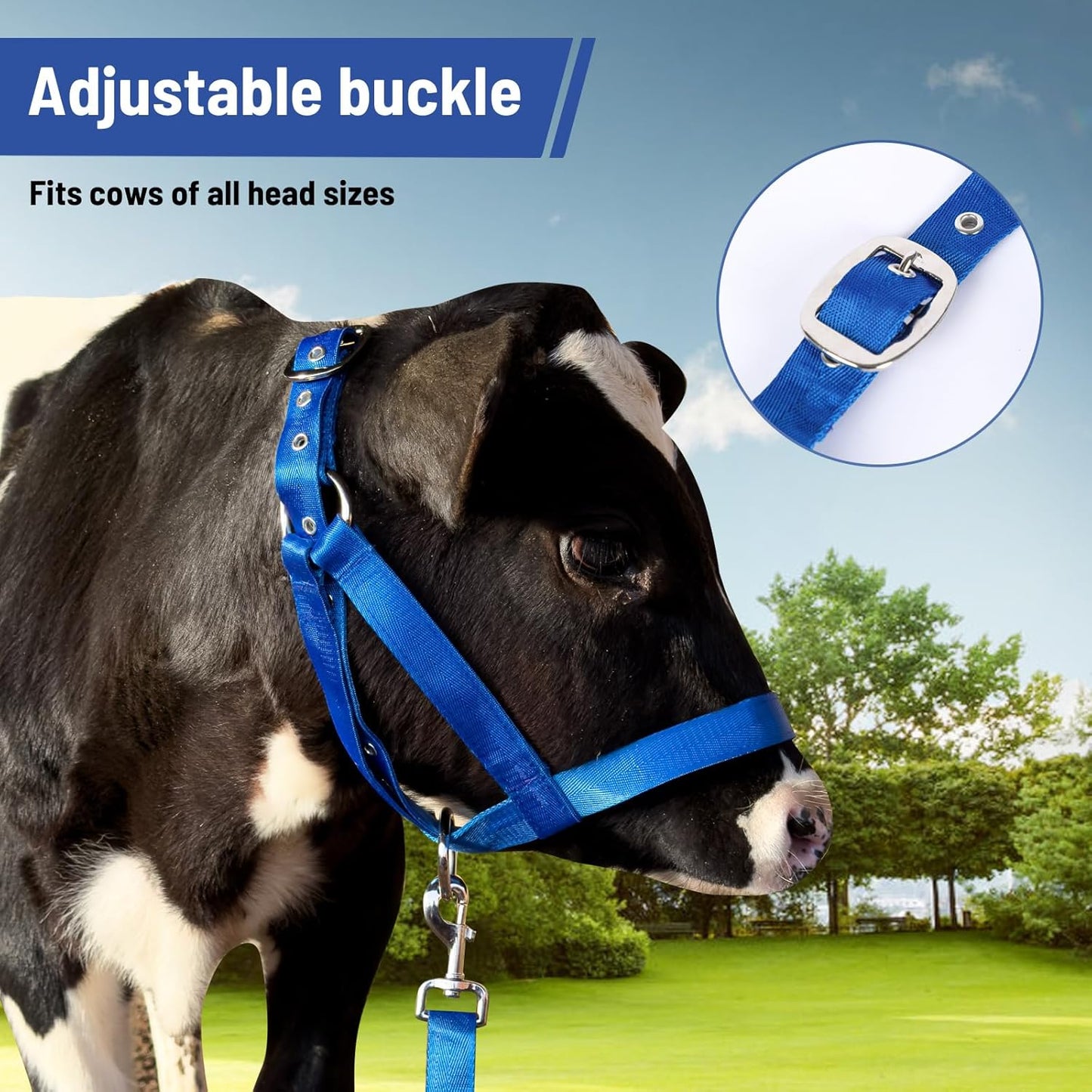 XUANNIAO Easily Adjustable Figure 8 Cow Halter, Double-Ply Premium Livestock Cattle Halters, Colorful Cow Utility Calf Halter with Leading Rope for Miniature Horse Donkey Goat Foal (Small, Blue)